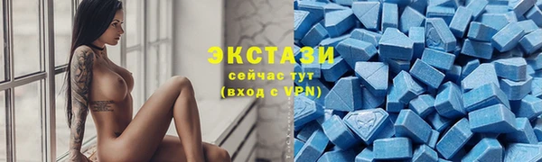 apvp Алзамай