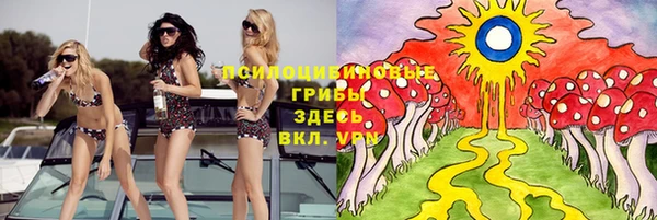 МДПВ Абдулино