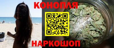 стаф Кингисепп