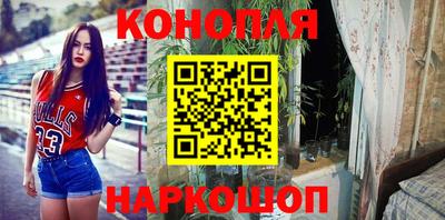 стаф Кингисепп