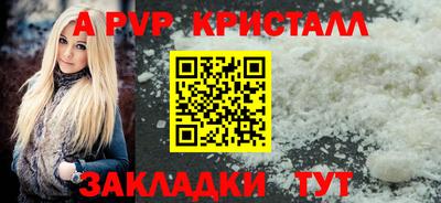 стаф Кингисепп
