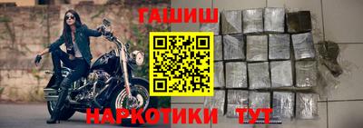 стаф Кингисепп