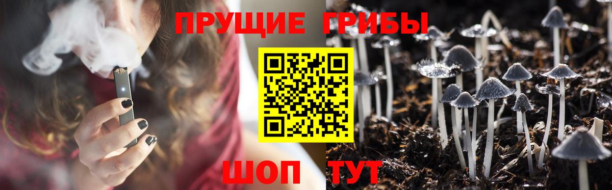 Галлюциногенные грибы Magic Shrooms  Галлюциногенные грибы MAGIC MUSHROOMS  Воронеж  Вход с VPN 